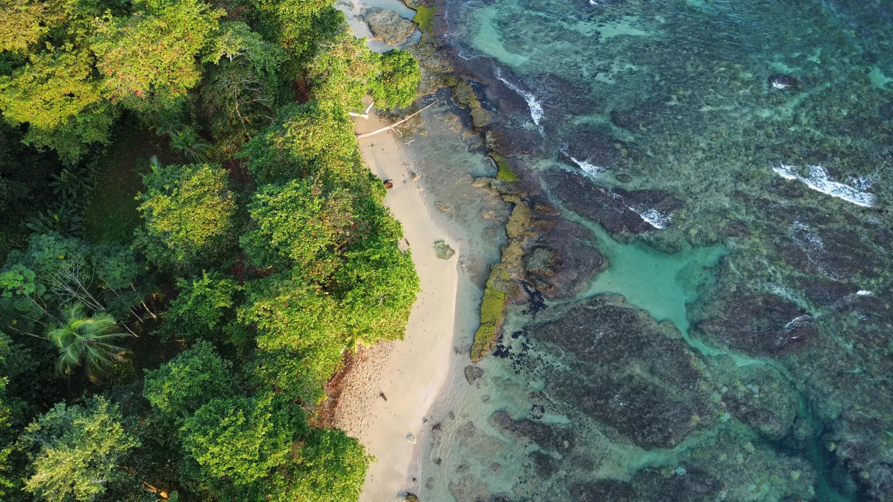 Costa Rica background