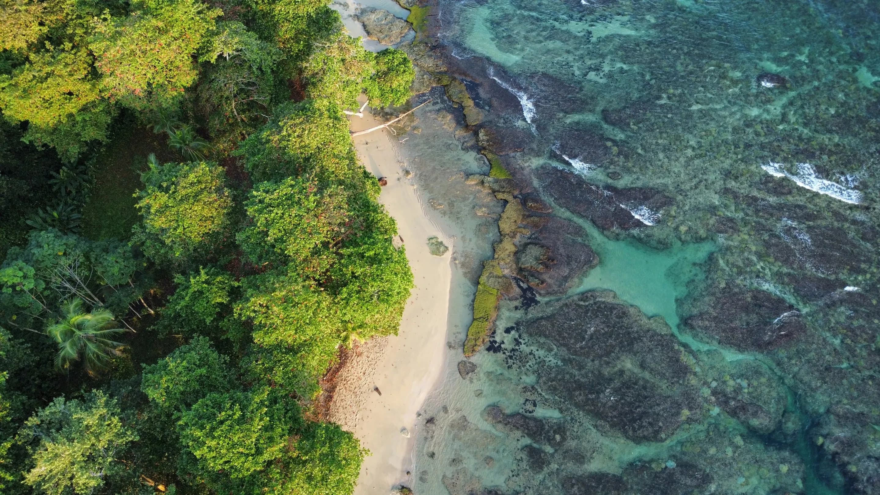 Costa Rica landscape