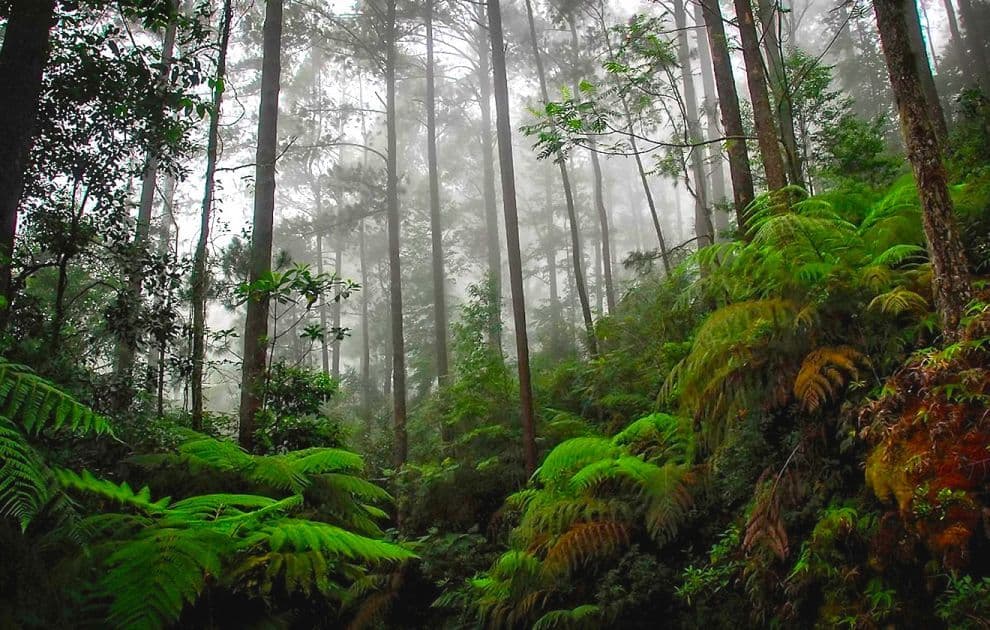 Honduras landscape